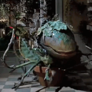 Little Shop Of Horrors Audrey Ii GIF