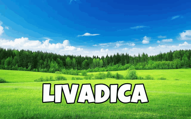 Livadica Srki Meme