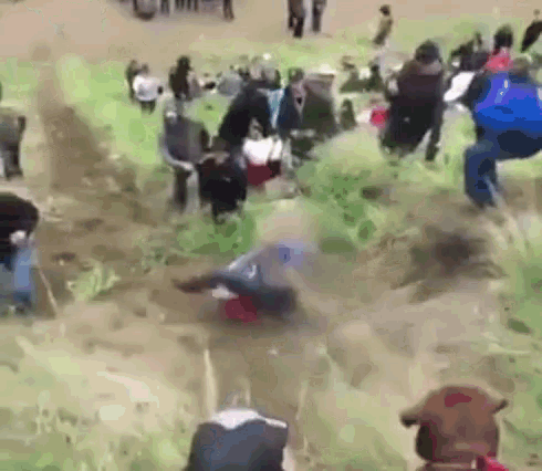 Lol Fail GIF