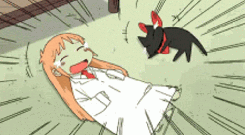 Lol Lmao GIF