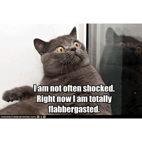 Lolcat Cat Meme Sci Fi Humor Cute Adorable Kitten Star Wars Trek Fun Cat Macro GIF
