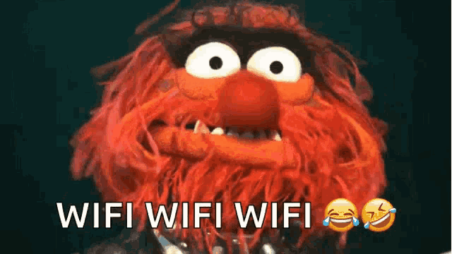 Looking Around GIF