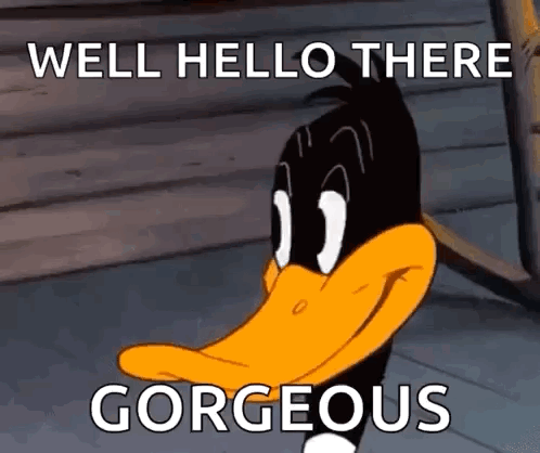 Looney Tunes Daffy Duck GIF