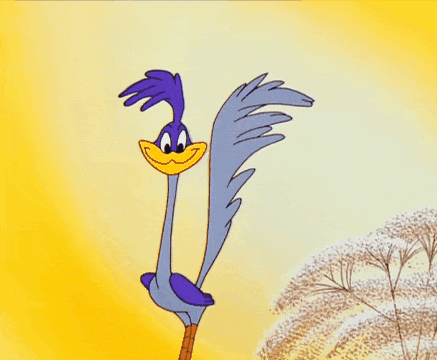 Looney Tunes I Just Don'T Have The Heart GIF