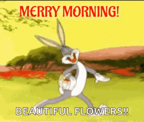 Looney Tunes GIF