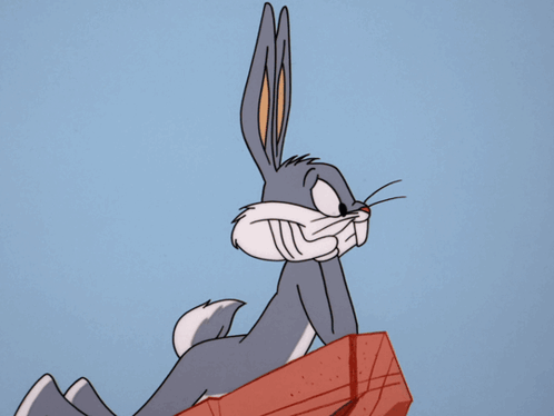 Looney Tunes Looney Toons GIF