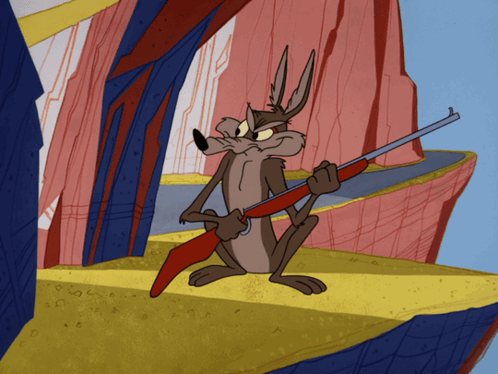 Looney Tunes Looney Toons GIF