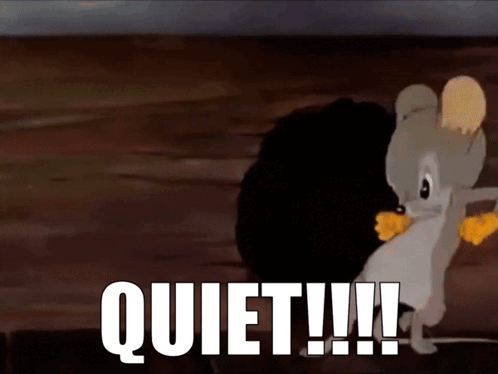 Looney Tunes Quiet GIF