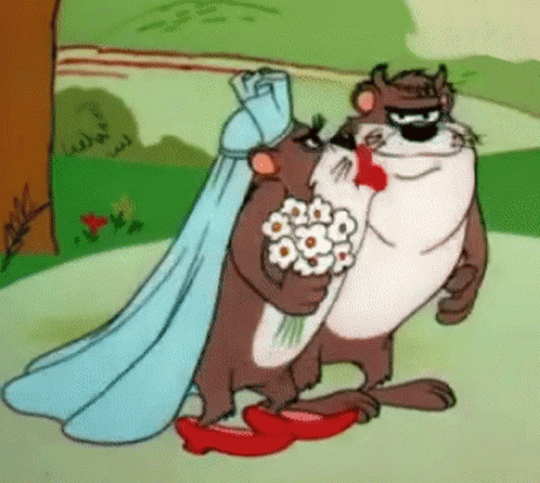 Looney Tunes Tasmanian Devil GIF