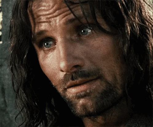 Lord Of The Rings Aragorn GIF