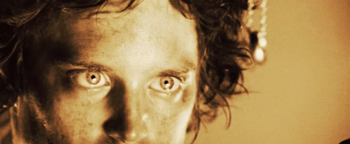 Lord Of The Rings Frodo GIF