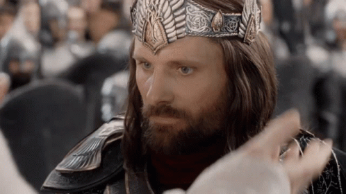 Lord Of The Rings Return Of The King GIF