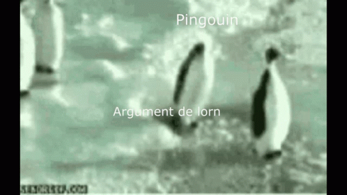 Lorn Argument GIF