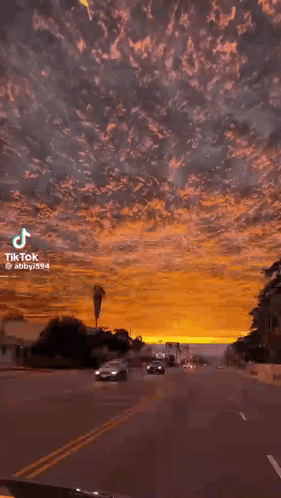 Los Angeles Night GIF