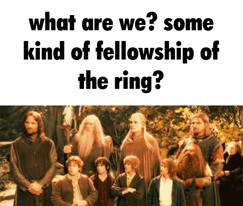 Lotr Fellowship GIF