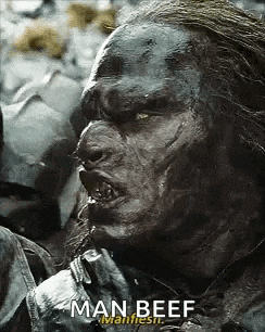 Lotr Man Flesh GIF