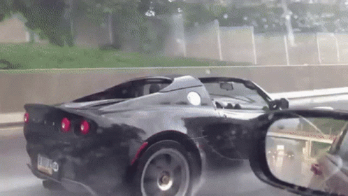 Lotus Raining GIF