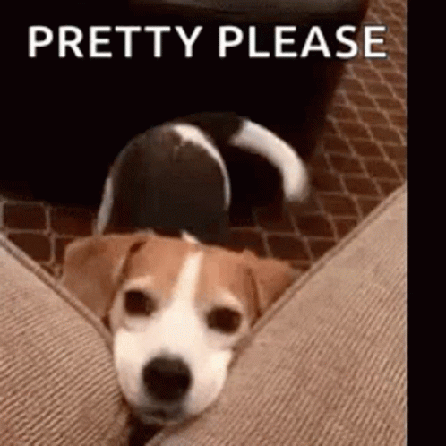 Love Cute GIF