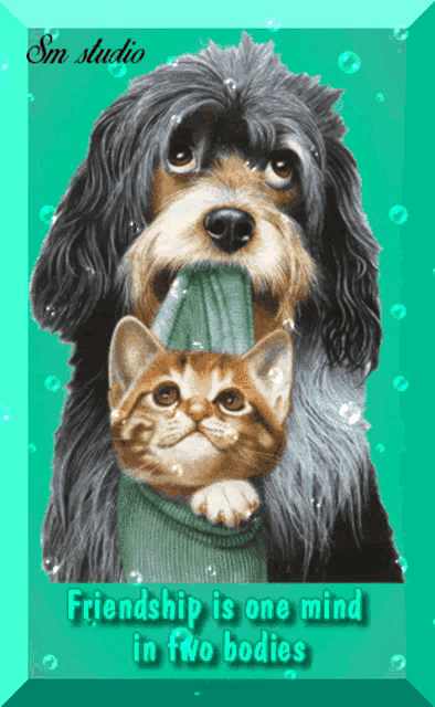 Love Friendship Is One Mind In Two Bodies GIF