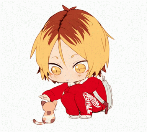 Love Haikyuu Pet GIF