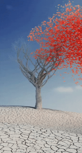 Love Heart GIF