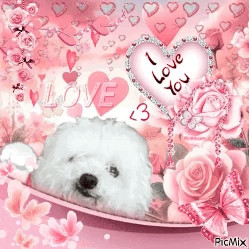 Love I Love You GIF