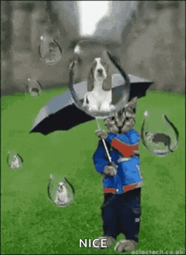 Love Rain GIF