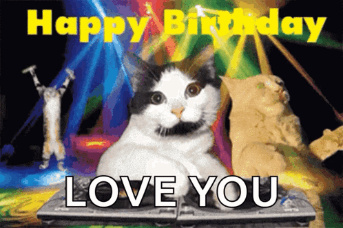 Love Sis GIF