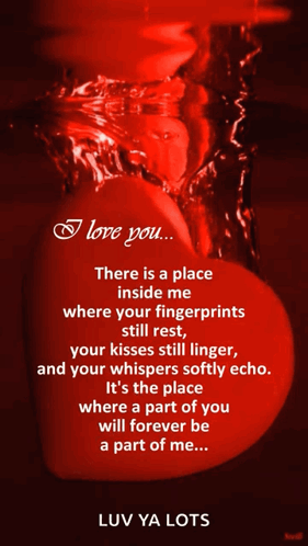 Love You I Love You GIF