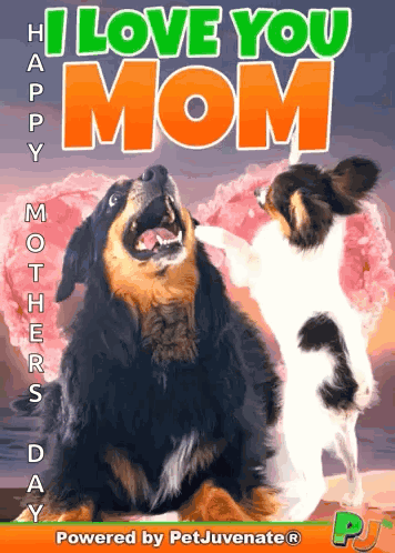 Love You Mom Love Mom My GIF
