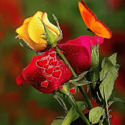 Lovely Day GIF