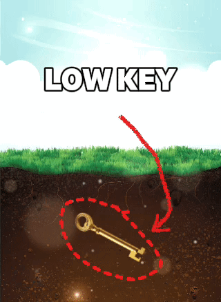 Low Key Meme GIF