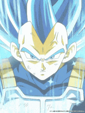 Lr Str Super Saiyan God Ss Evolved Vegeta Fight To Protect Pride And Keep Oaths GIF