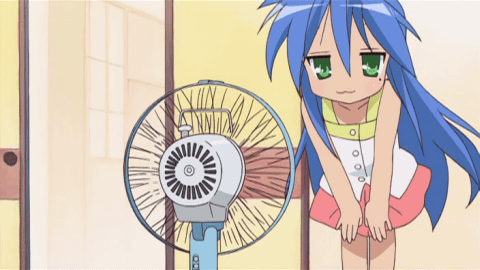 Lucky Star Anime GIF