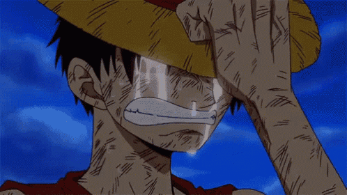 Luffy One Piece GIF