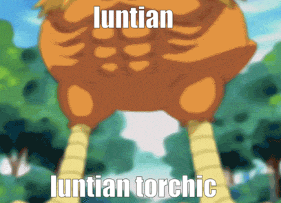 Luntian Torchic GIF