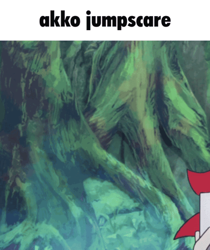 Lwa Akko GIF