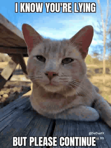 Lying Liar GIF