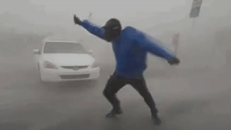 M4rkdoll GIF