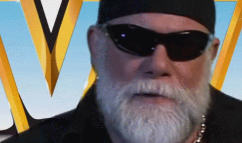 Macho Man Randy Savage GIF
