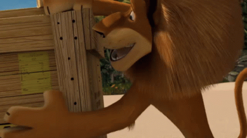 Madagascar Alex The Lion GIF