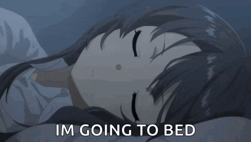 Mai Sakurajima Rascal Does Not Dream Of Bunny Girl Senpai GIF