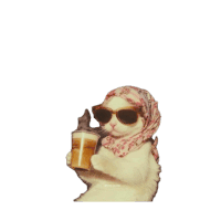 Main Character Energy Cat Sticker