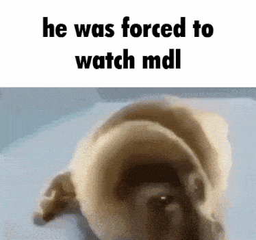 Maindotlua Mdl GIF