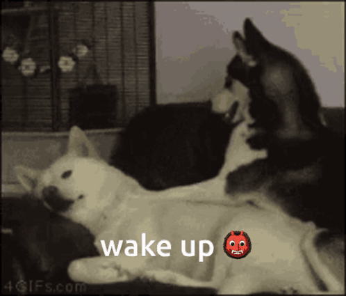 Majo Ogre GIF