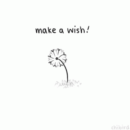 Make A Wish! GIF