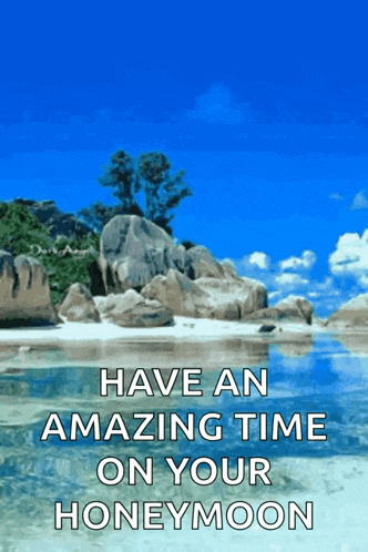 Maldives GIF