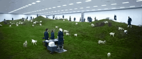 Mammalian Nurturability Severance Baby Goats GIF