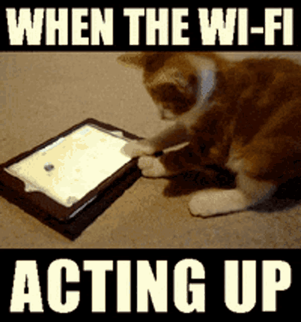 Man One Of My Fav Memes GIF