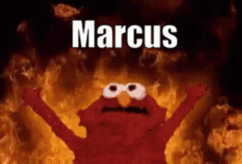 Marcus Elmo GIF